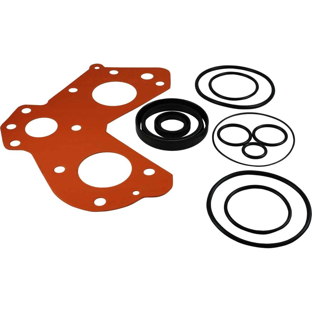 PRM Seal, Gasket and O-ring Kit (PRM Delta) 107512