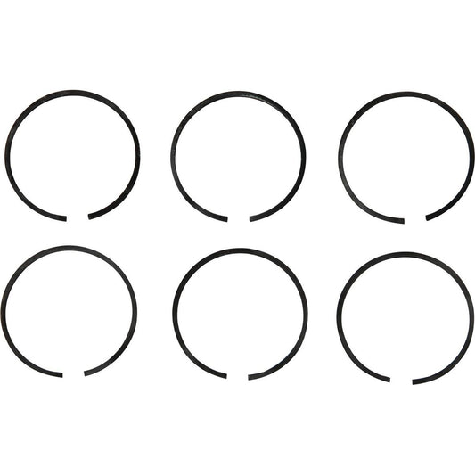 PRM Piston Ring Kit (PRM 160D, 260, 301, 302, 401, 402, 500 & 750) 107545