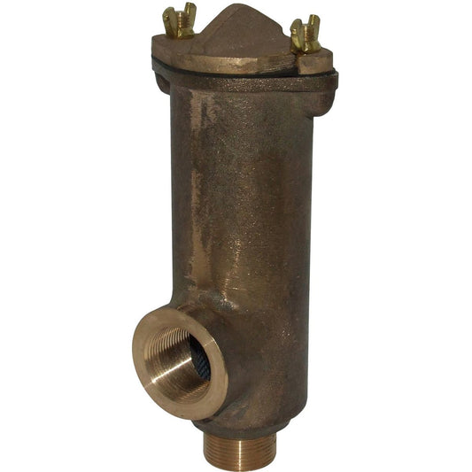 Bronze Hull Mounted Water Strainer (1-1/4" BSP / 250mm x 90mm) 2-70154