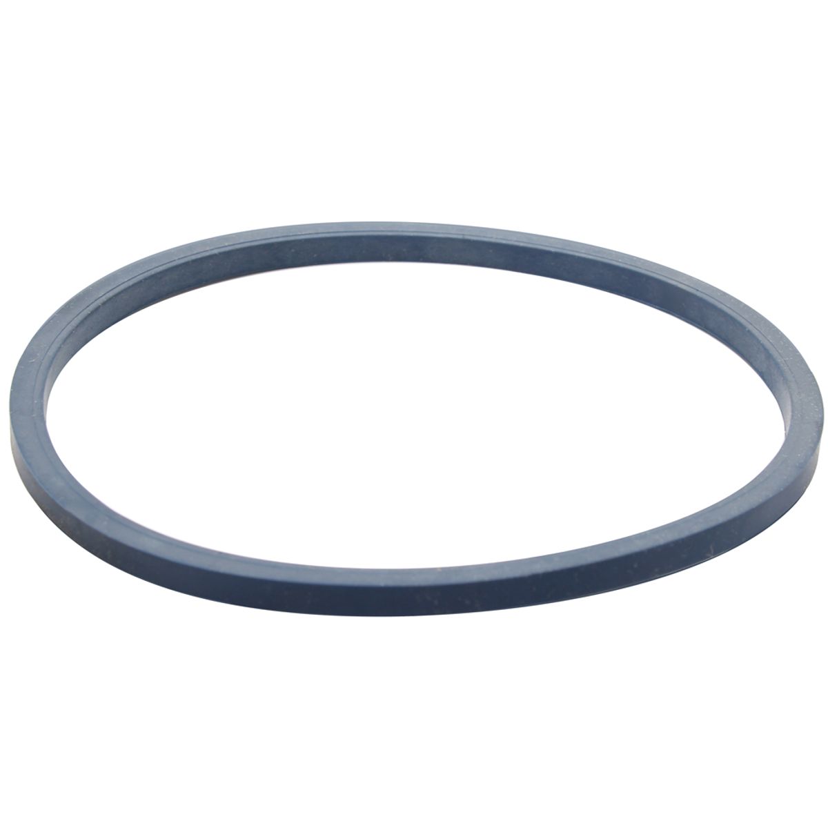 General Ecology Housing Gasket for Seagull Water Purifiers 26635
