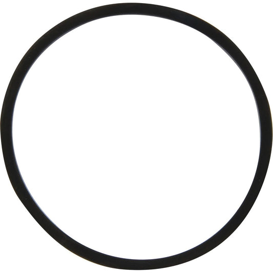 DriveForce Seal Ring for CAV Filter Head 302991