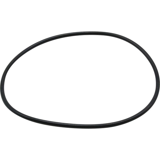 Maestrini O-Ring for 1-1/4" & 1-1/2" Venezia Strainers 401272