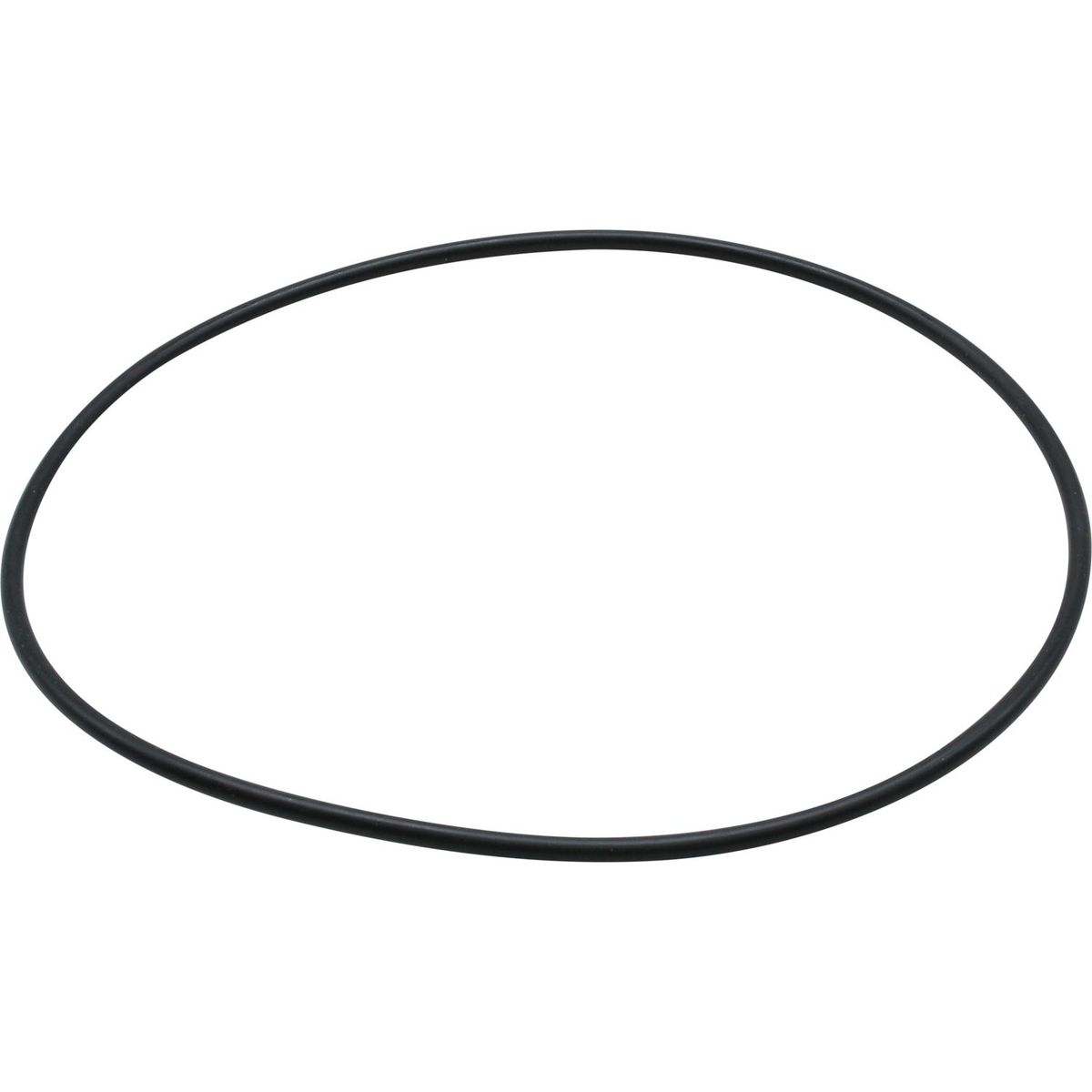 Maestrini O-Ring for 2" Venezia Strainers 401273