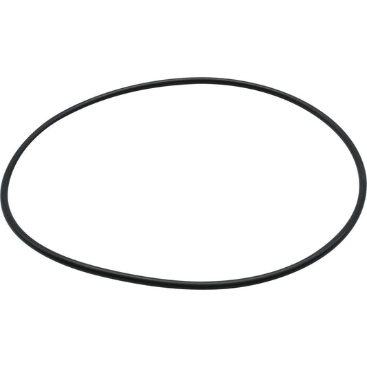 Maestrini O-Ring for 2" Venezia Strainers 401273