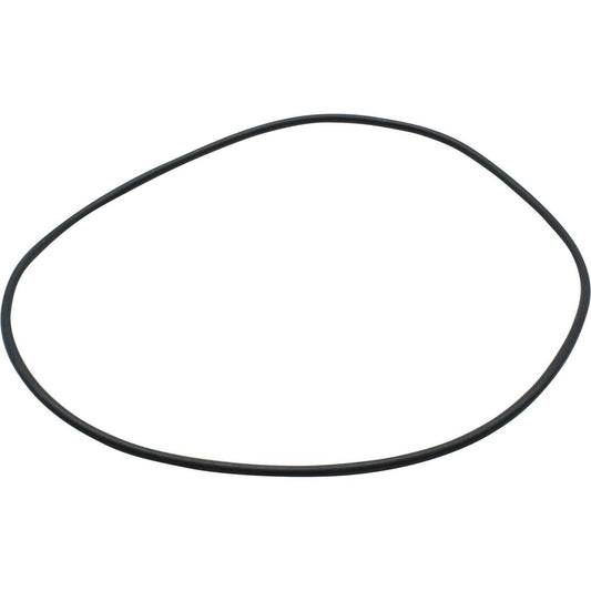 Maestrini O-Ring for 2-1/2", 3" & 4" Venezia Strainers 401274