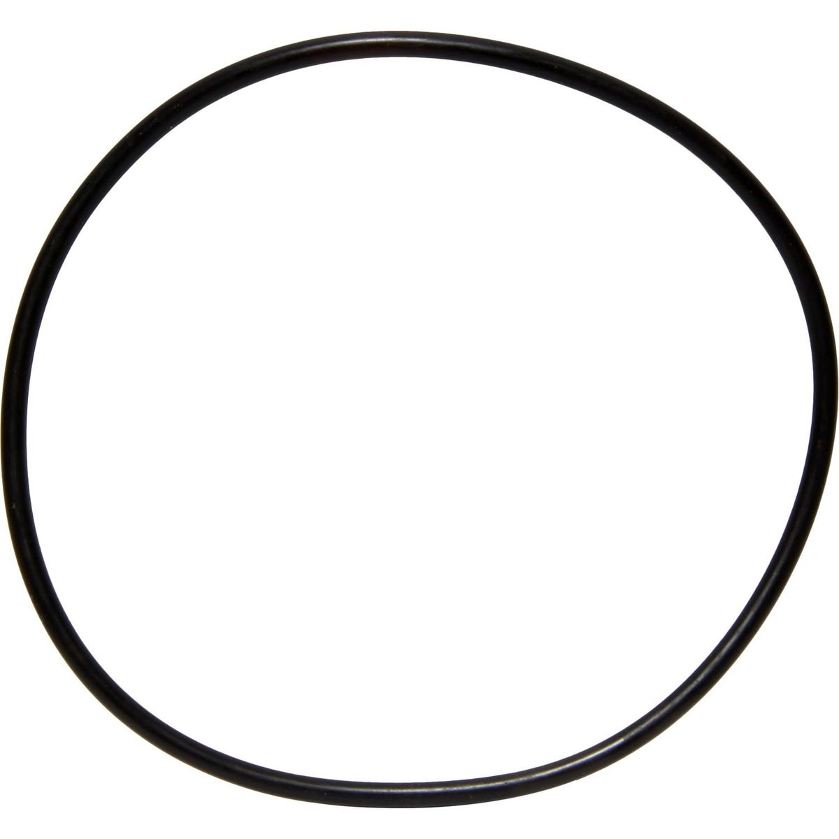 Maestrini Raw Water Intake Strainer O-Ring (3/8" & 1/2") 401280