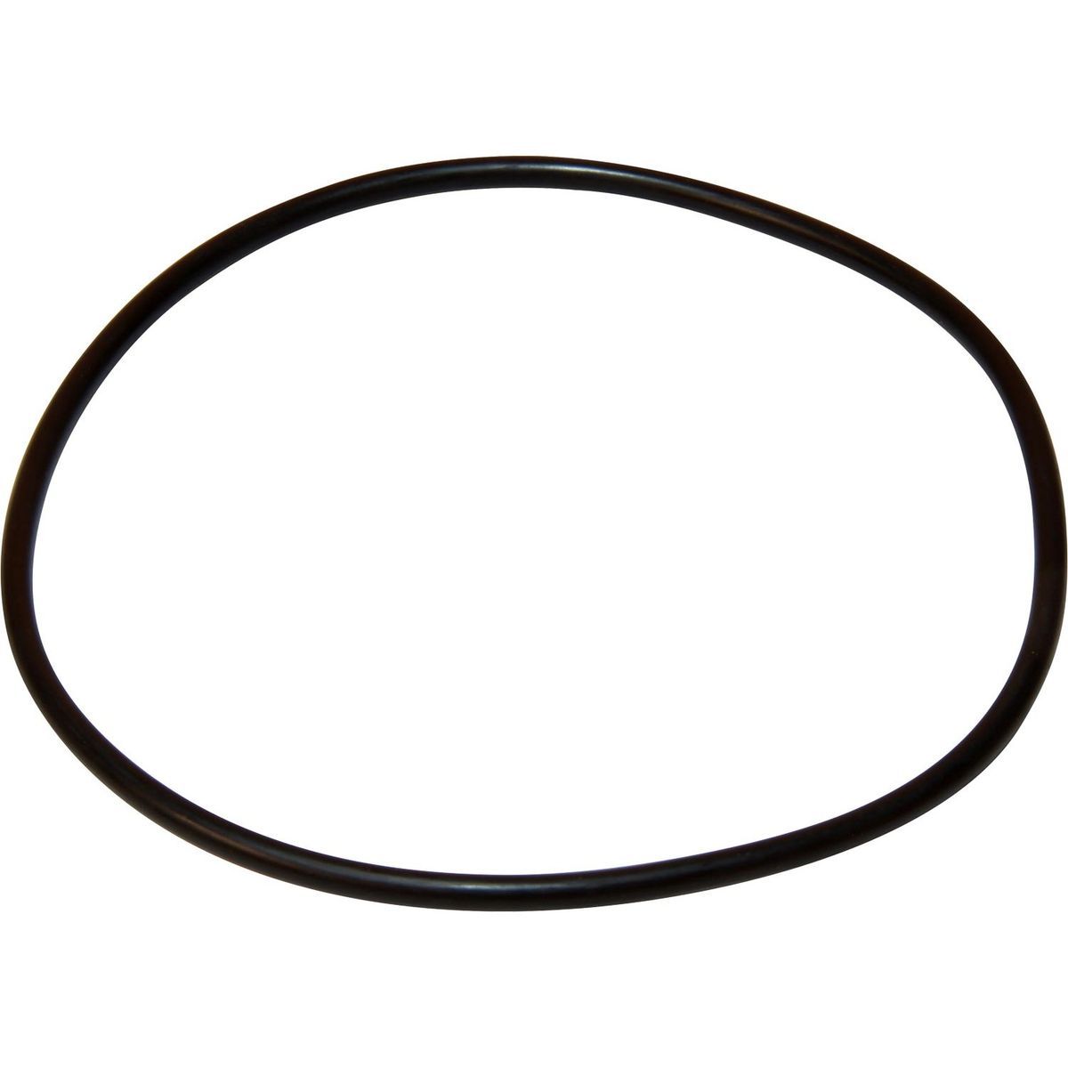 Maestrini Raw Water Intake Strainer O-Ring (3/4" & 1") 401281