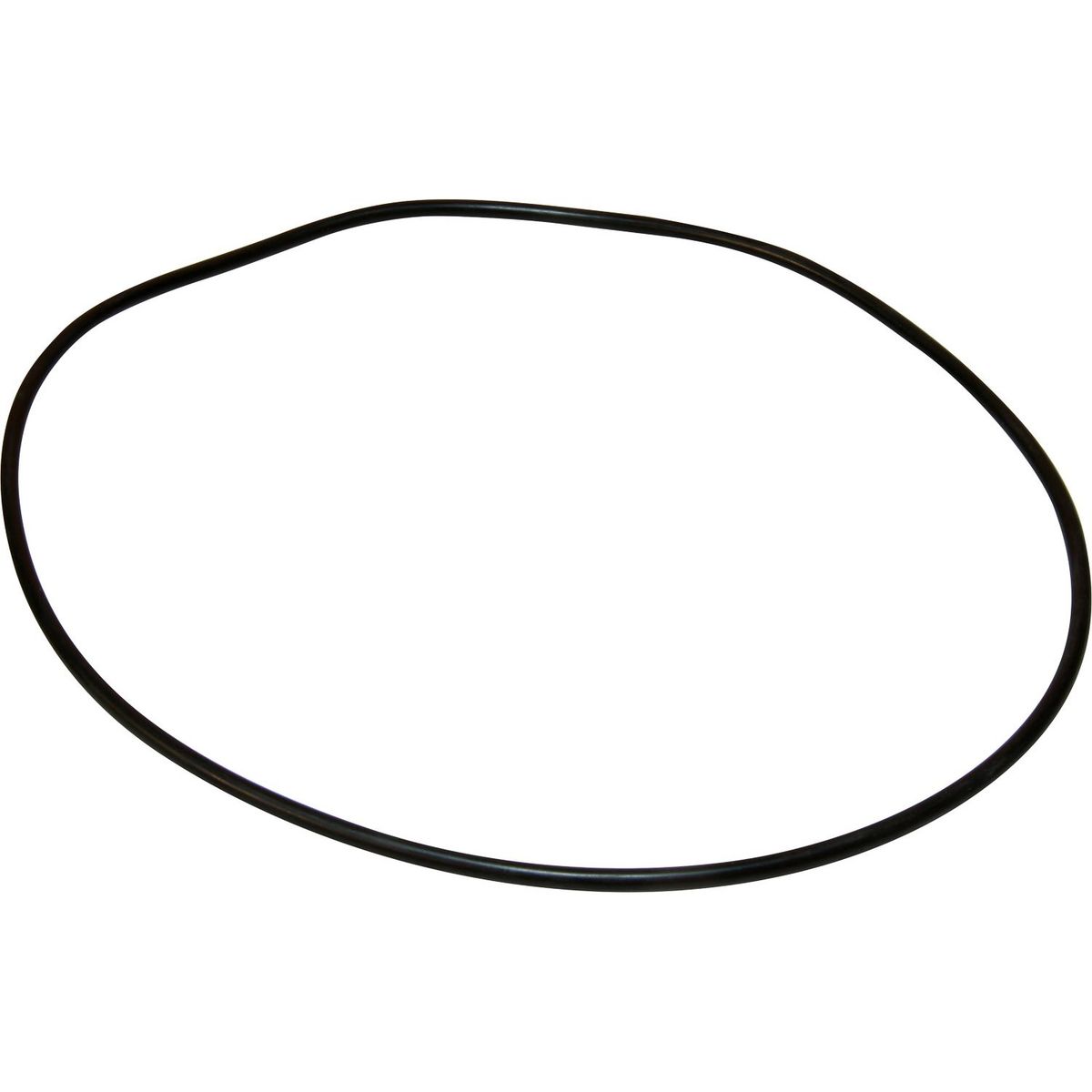 Maestrini Raw Water Intake Strainer O-Ring (2") 401283