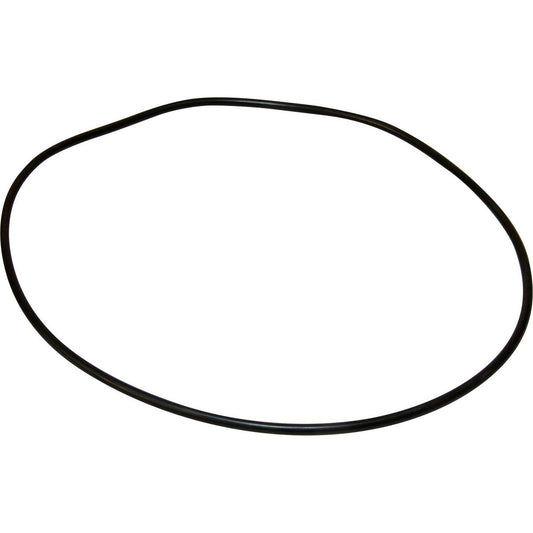 Maestrini Raw Water Intake Strainer O-Ring (2") 401283