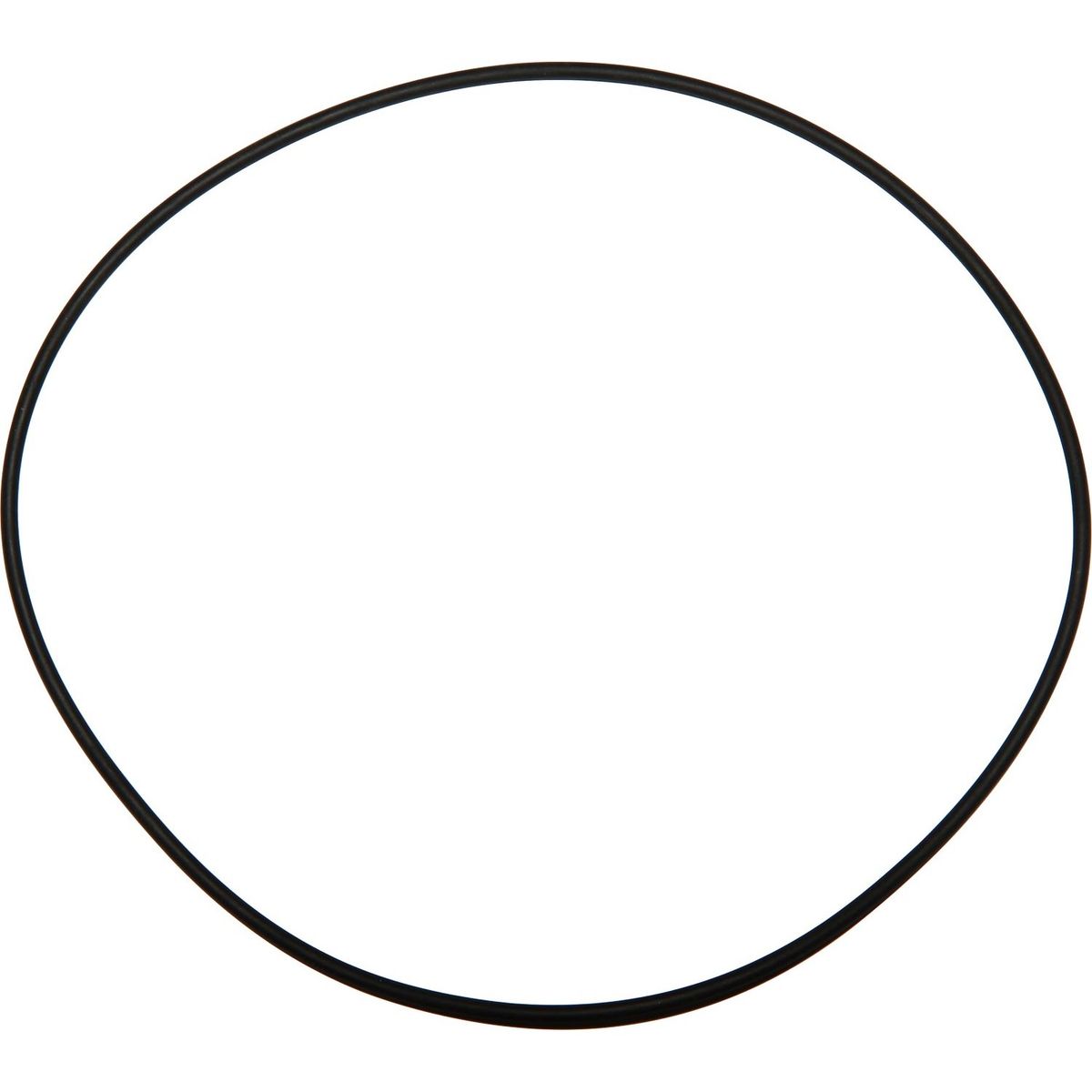 Maestrini Raw Water Intake Strainer O-Ring (3") 401285