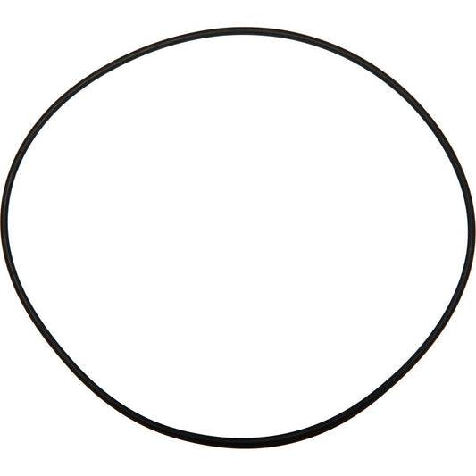 Maestrini Raw Water Intake Strainer O-Ring (3") 401285