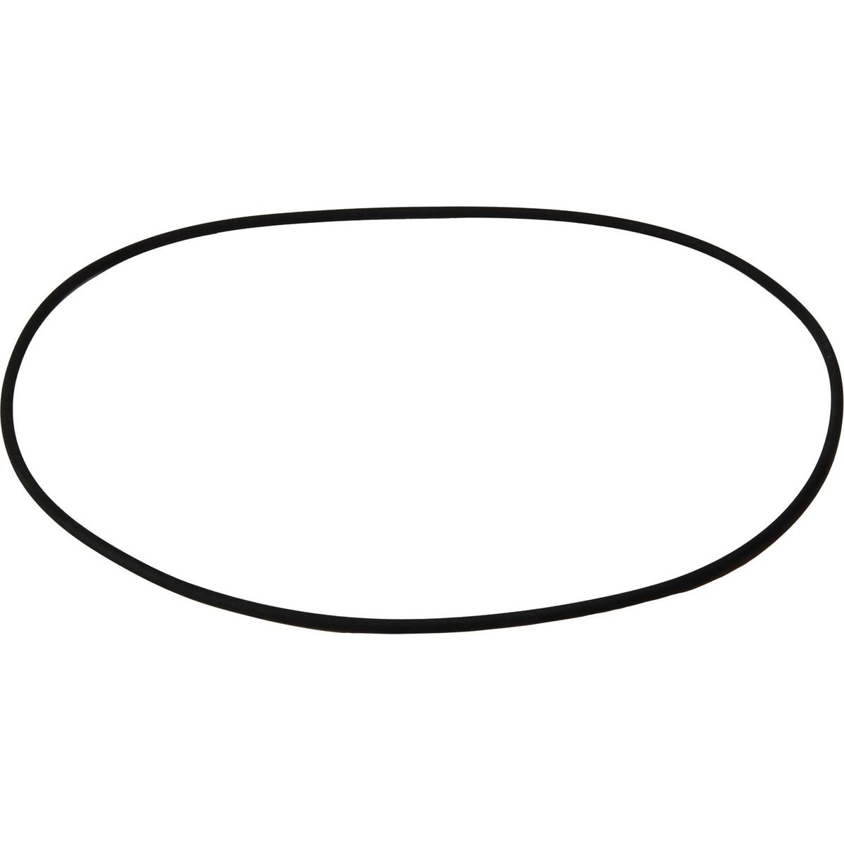 Maestrini Raw Water Intake Strainer O-Ring (4") 401286