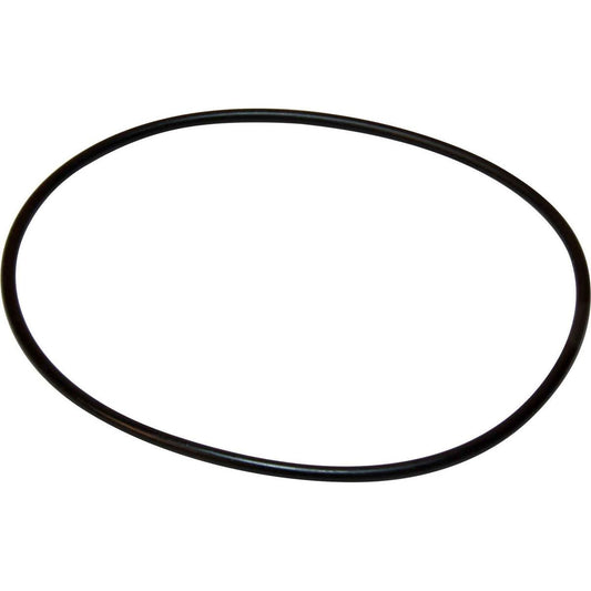 Maestrini Raw Water Intake Strainer O-Ring (1-1/4") 401606-2