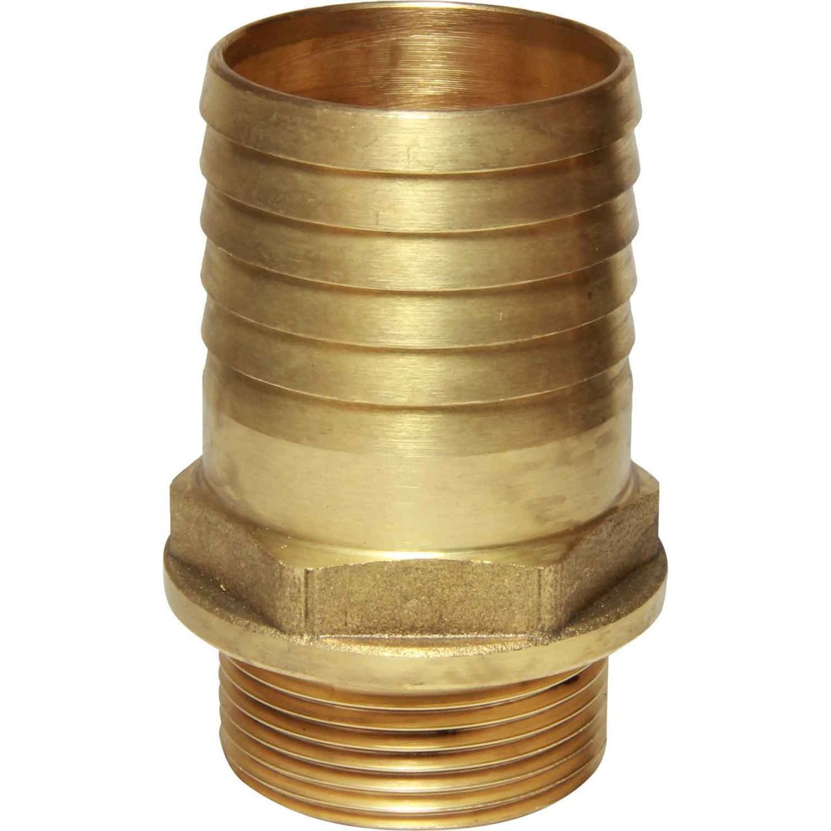 Maestrini Brass Straight Hose Tail (1-1/4" BSP Male to 45mm Hose) 404068