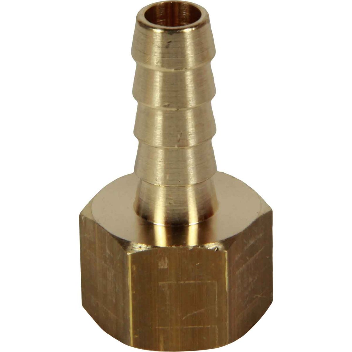 Maestrini Brass Straight Hose Tail (3/8" BSP Female to 10mm Hose) 404223
