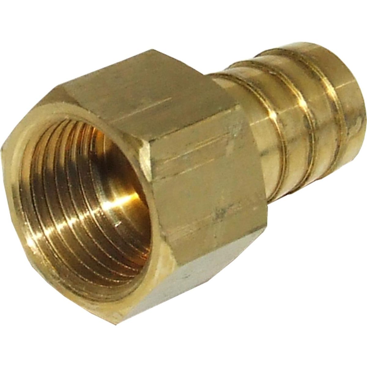 Maestrini Brass Straight Hose Tail (1/2" BSP Female to 16mm Hose) 404236