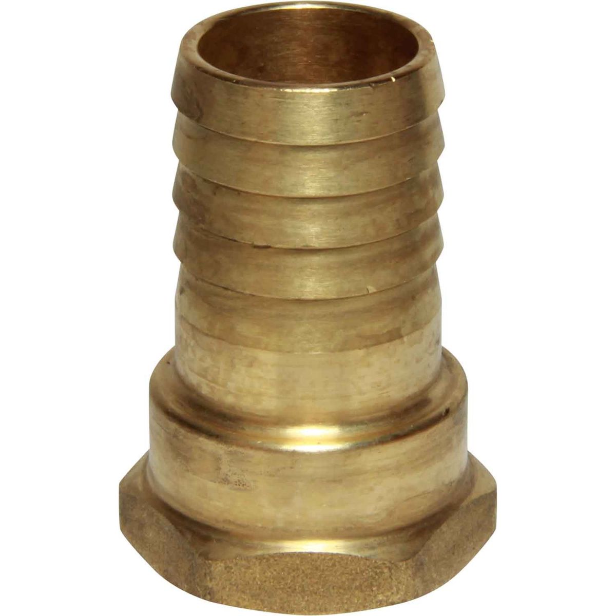 Maestrini Brass Straight Hose Tail (3/4" BSP Female to 25mm Hose) 404247