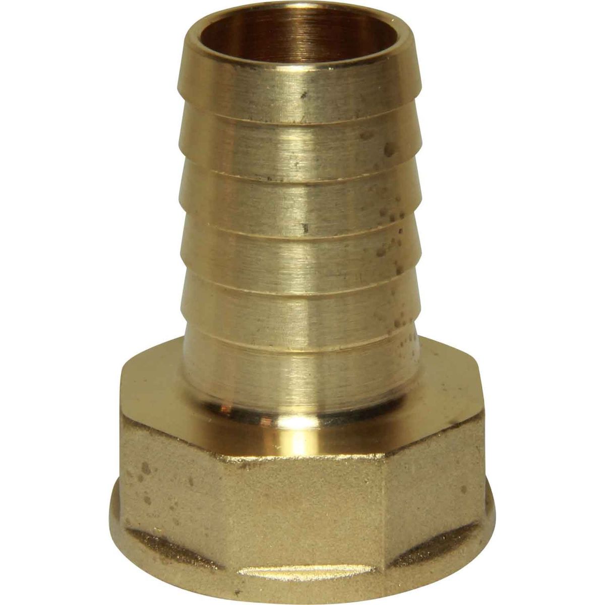 Maestrini Brass Straight Hose Tail (1" BSP Female to 25mm Hose) 404254