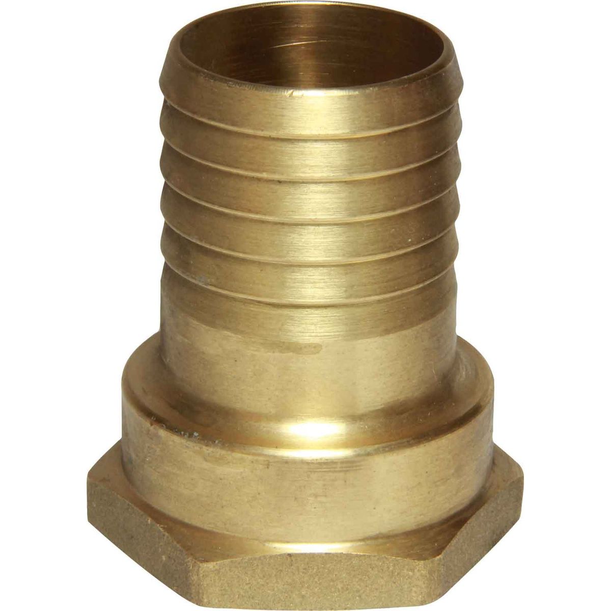 Maestrini Brass Straight Hose Tail (1-1/4" BSP Female to 35mm Hose) 404264