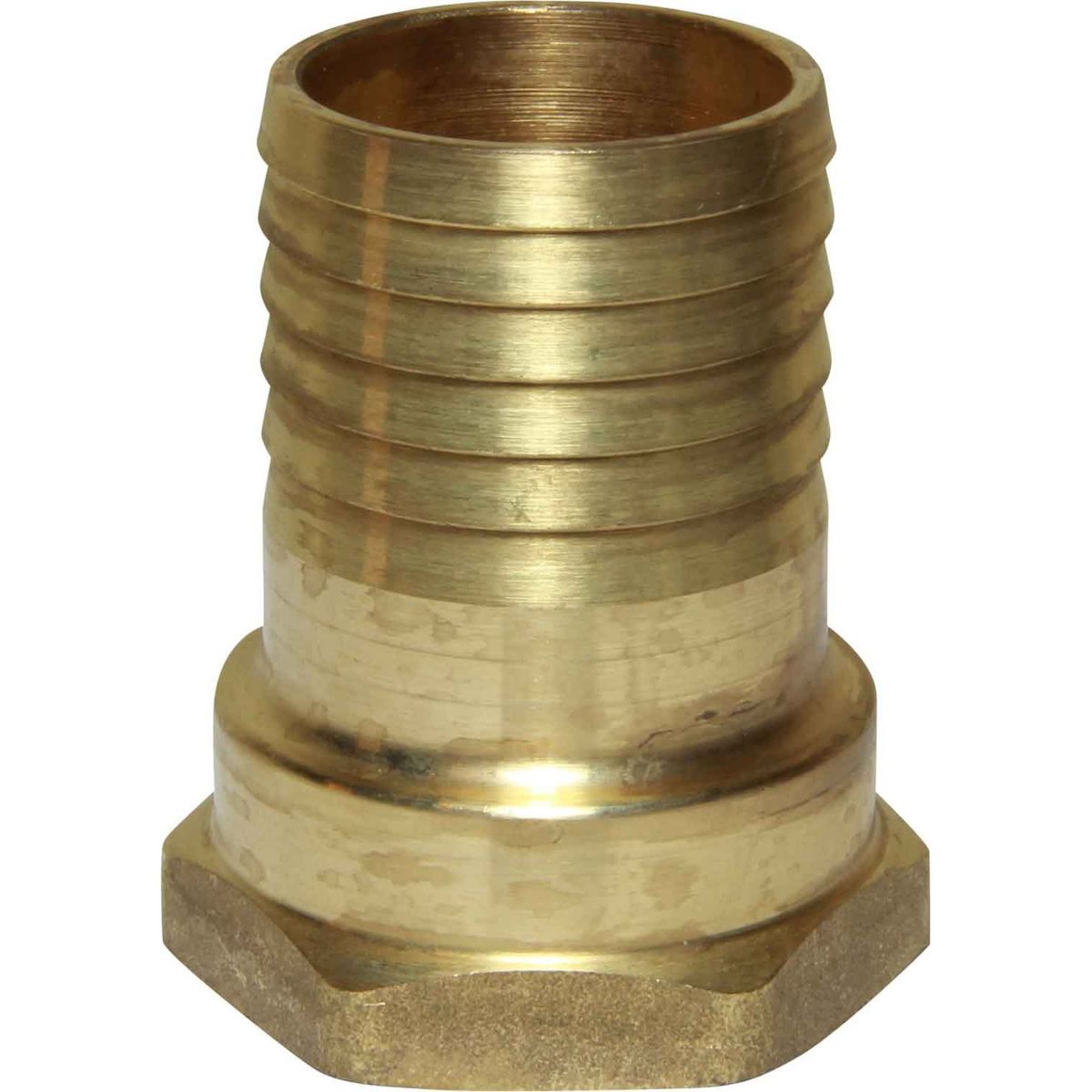 Maestrini Brass Straight Hose Tail (1-1/4" BSP Female to 38mm Hose) 404266
