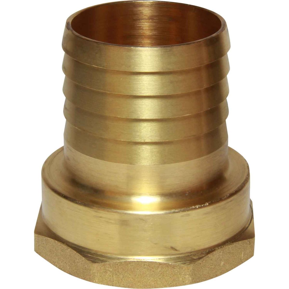 Maestrini Brass Straight Hose Tail (2" BSP Female to 50mm Hose) 404284