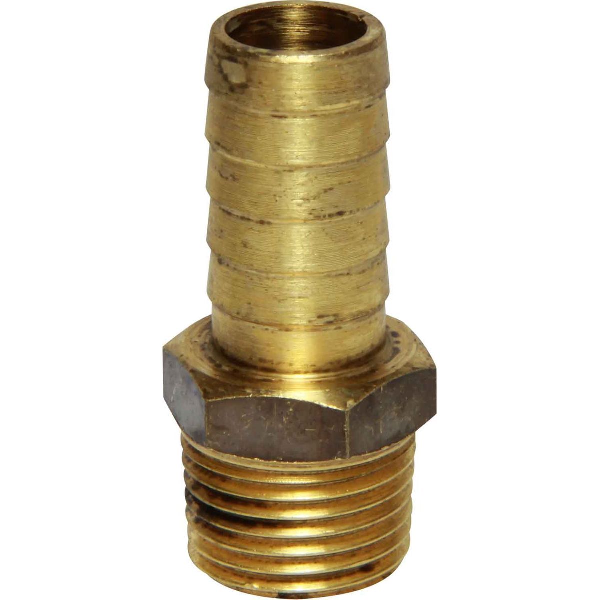 Maestrini DZR Straight Hose Tail (1/2" BSPT Male to 16mm Hose) 404636