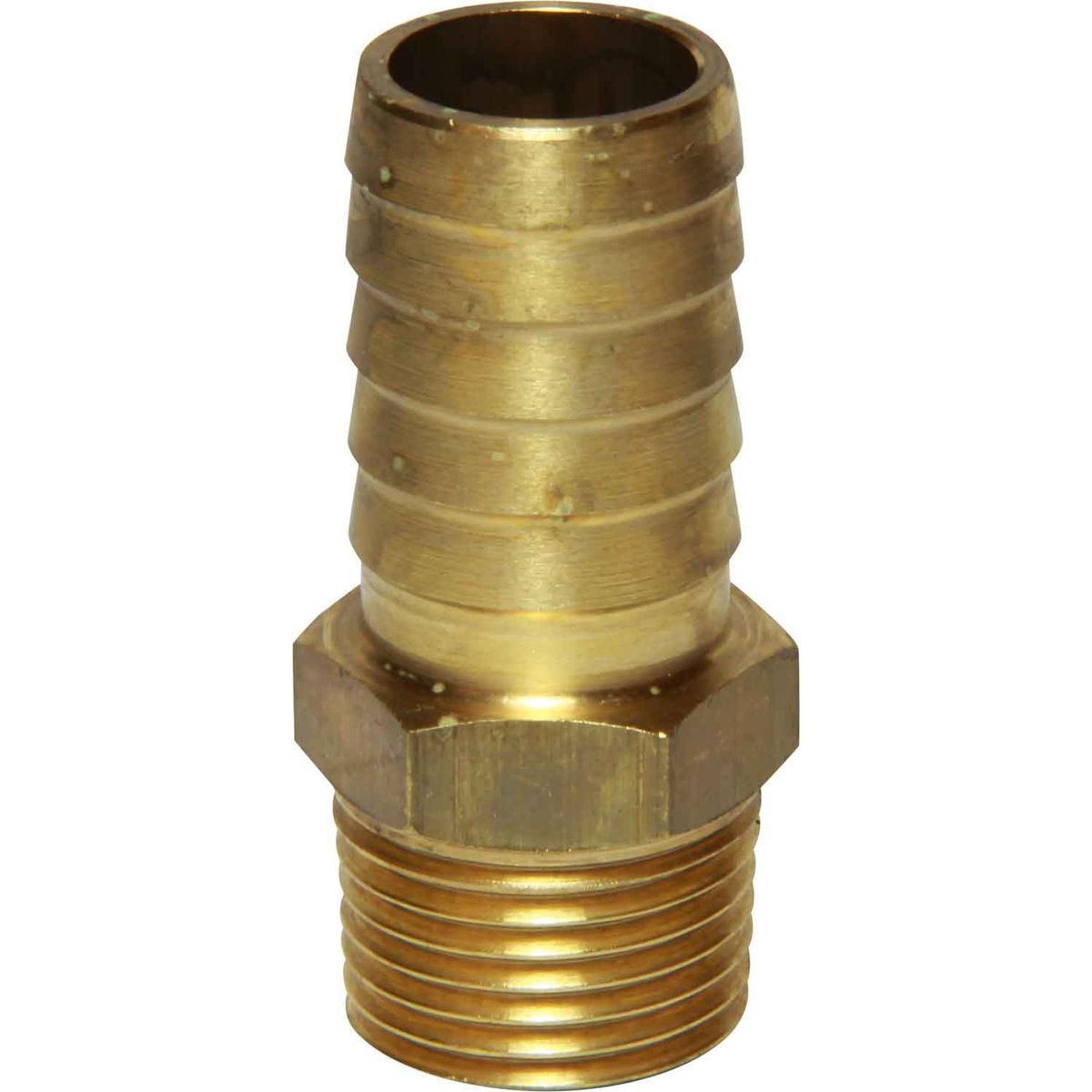 Maestrini DZR Straight Hose Tail (1/2" BSPT Male to 19mm Hose) 404638