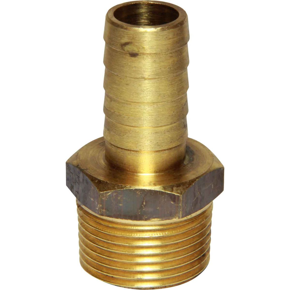 Maestrini DZR Straight Hose Tail (3/4" BSPT Male to 16mm Hose) 404643