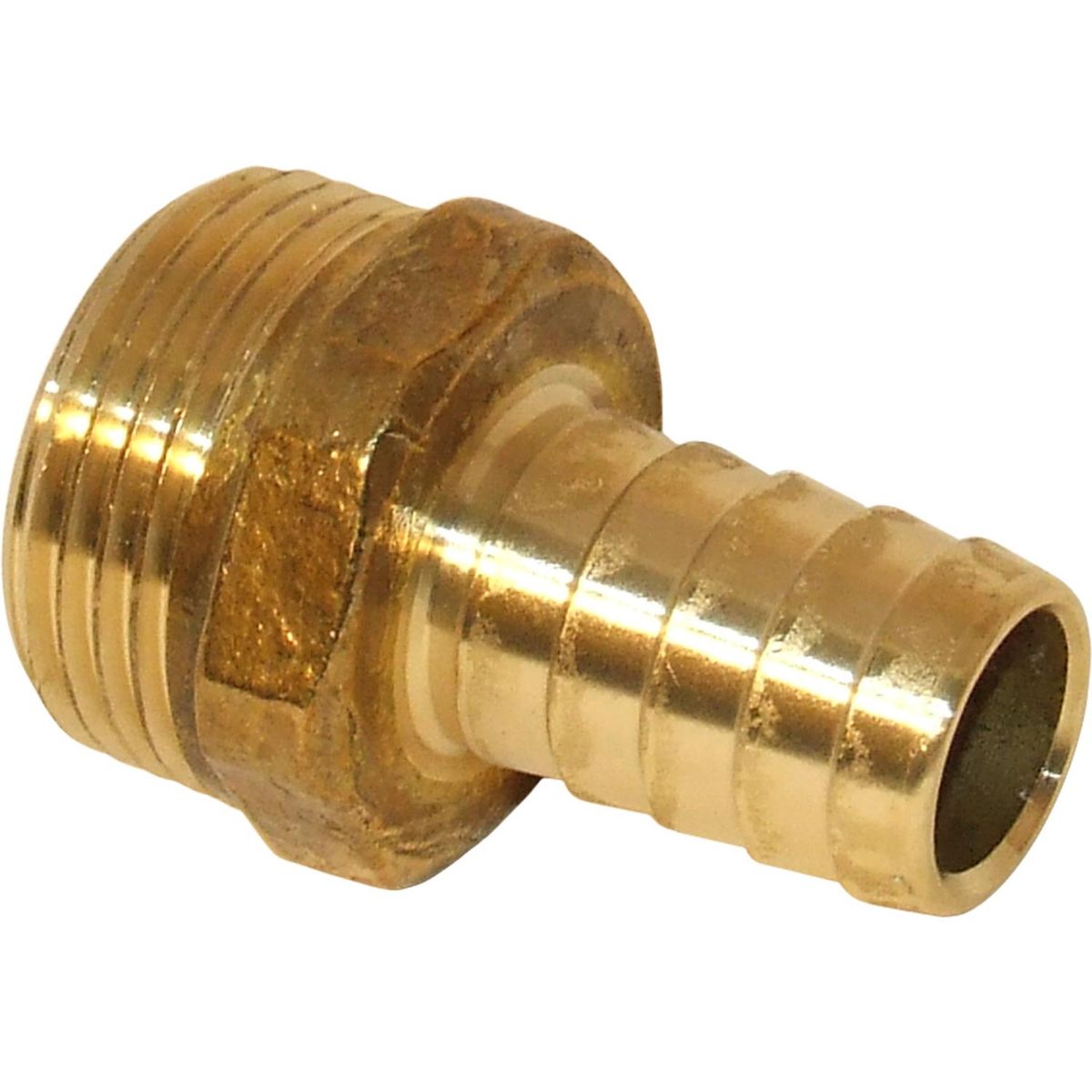 Maestrini DZR Straight Hose Tail (1" BSPT Male to 19mm Hose) 404653