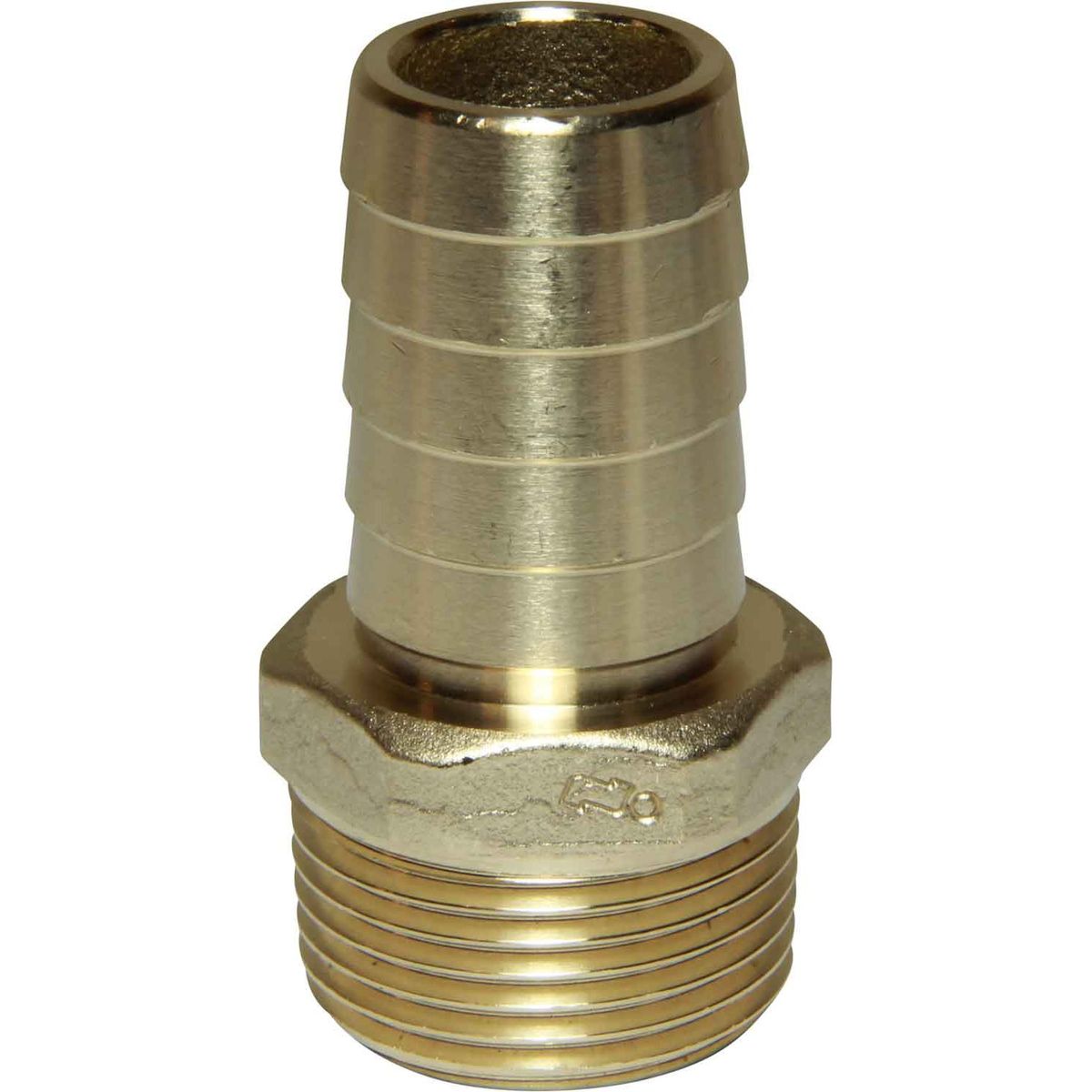 Maestrini DZR Straight Hose Tail (1" BSPT Male to 25mm Hose) 404654