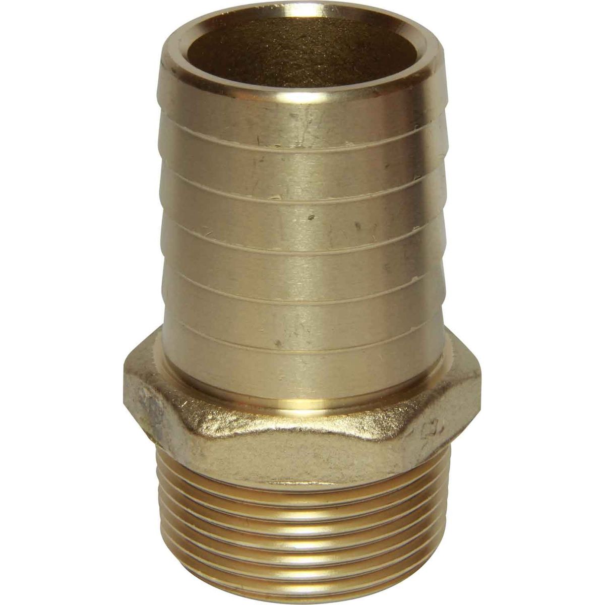 Maestrini DZR Straight Hose Tail (1-1/4" BSPT Male to 38mm Hose) 404666