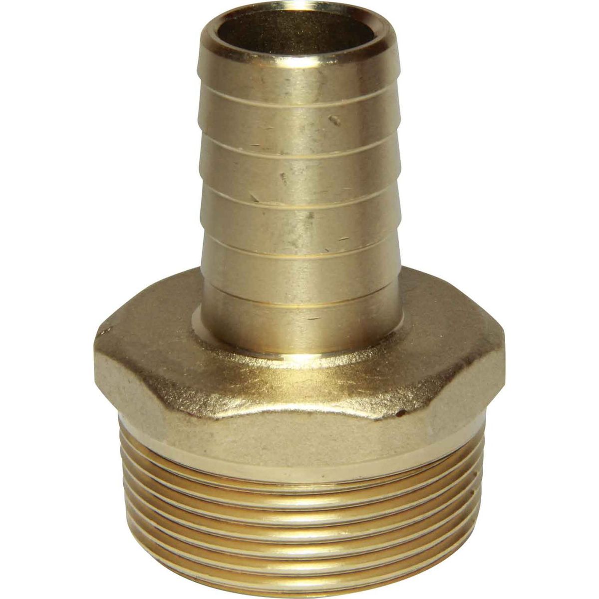 Maestrini DZR Straight Hose Tail (1-1/2" BSPT Male to 25mm Hose) 404672