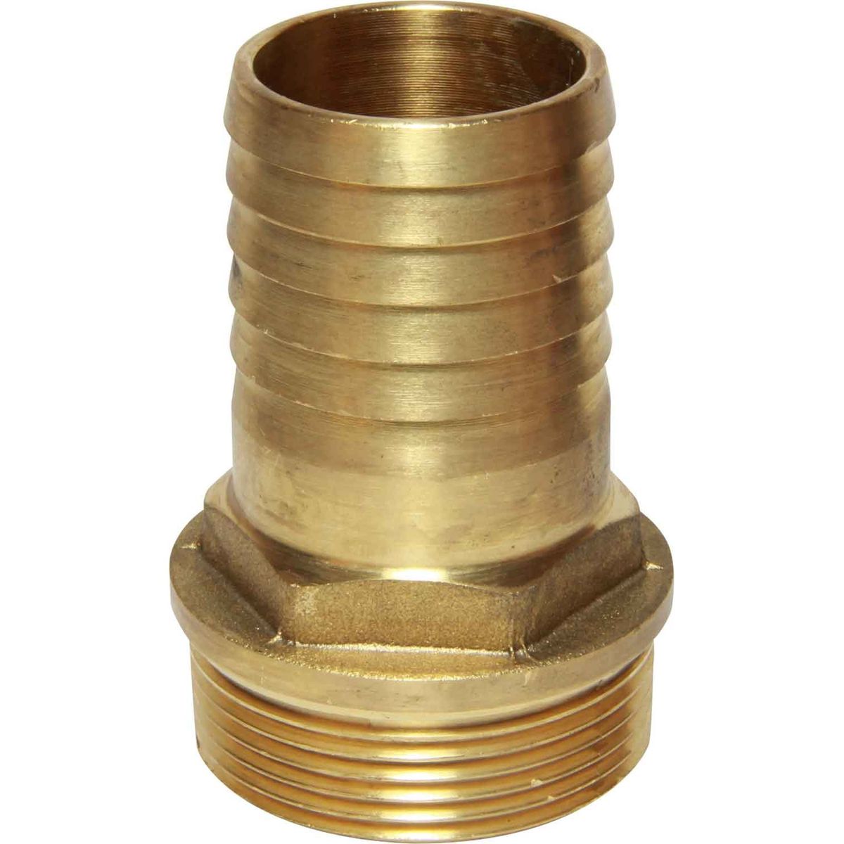 Maestrini DZR Straight Hose Tail (1-1/2" BSPT Male to 38mm Hose) 404674