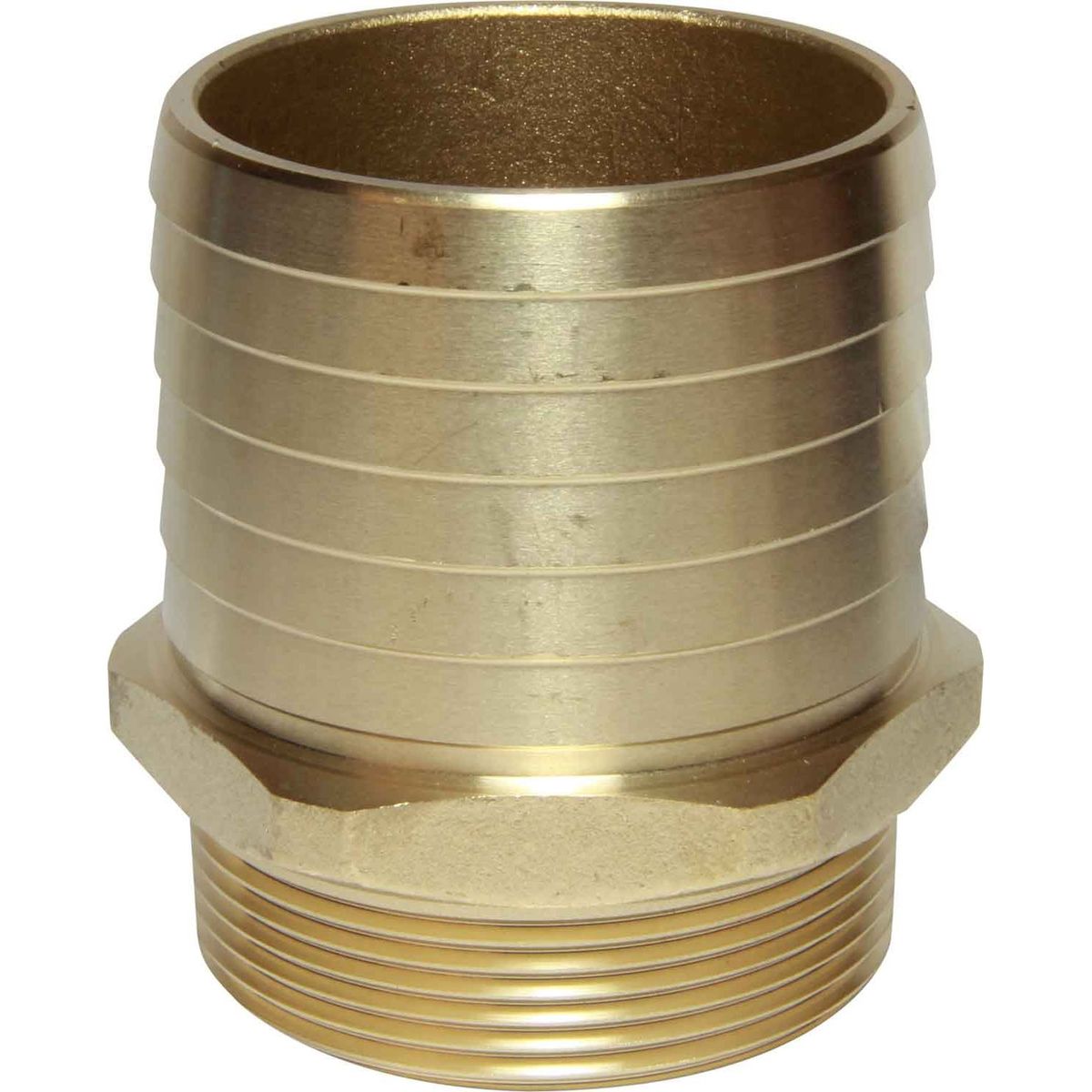 Maestrini DZR Straight Hose Tail (2" BSPT Male to 64mm Hose) 404691