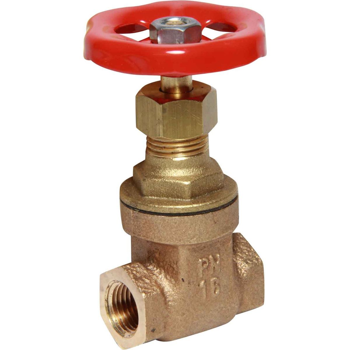 Maestrini Brass Gate Valve with Bronze Body (Female / 1/4" BSP) 406101