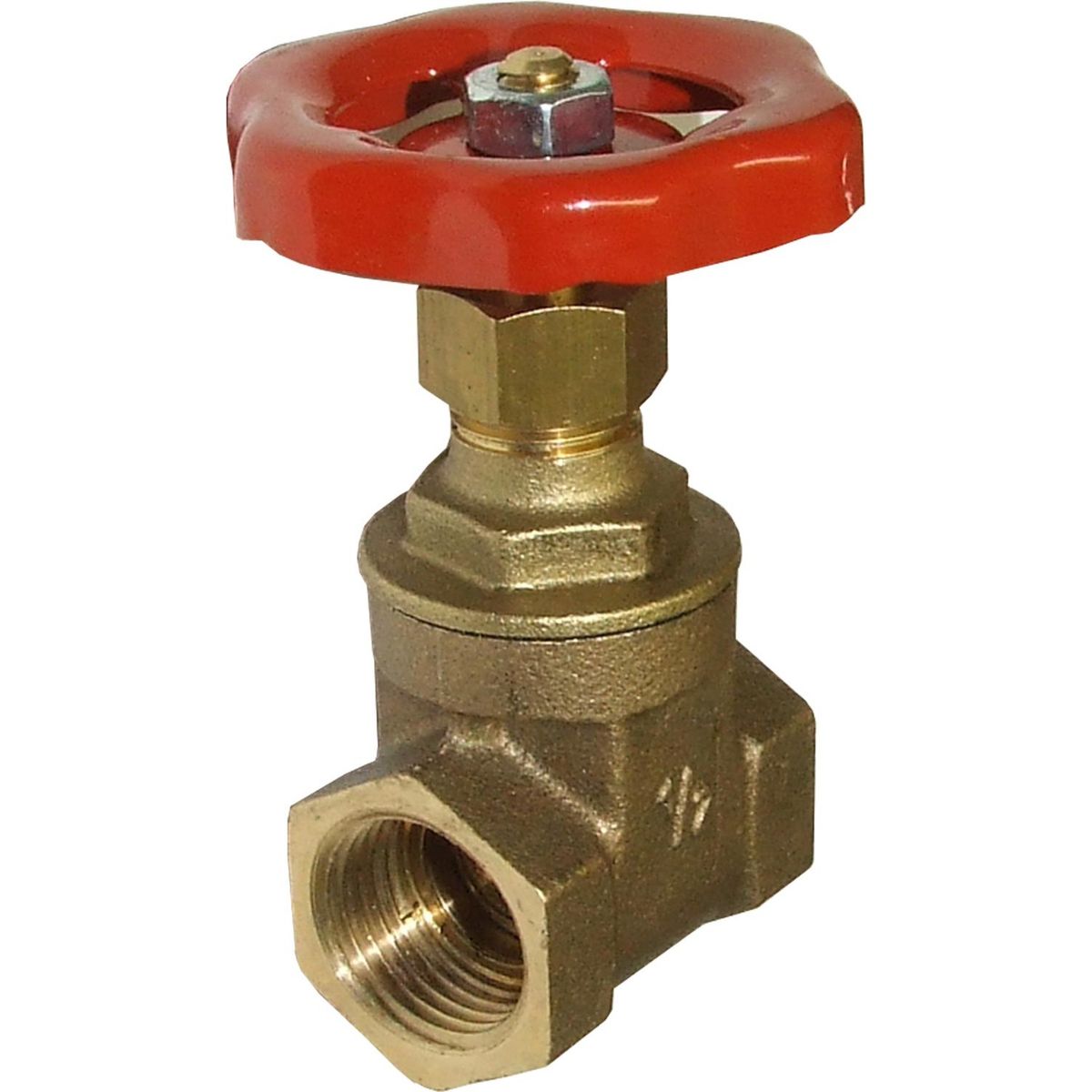 Maestrini Brass Gate Valve with Bronze Body (Female / 1/2" BSP) 406103