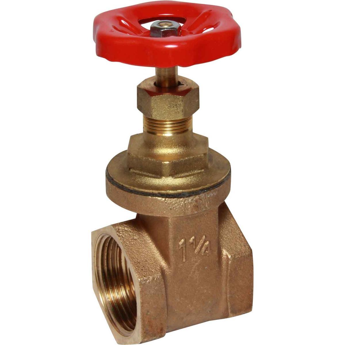 Maestrini Brass Gate Valve with Bronze Body (Female / 1-1/4" BSP) 406106