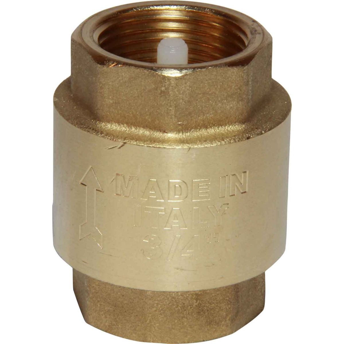 Maestrini Brass Inline Spring Check Valve (Female / 3/4" BSP) 406604