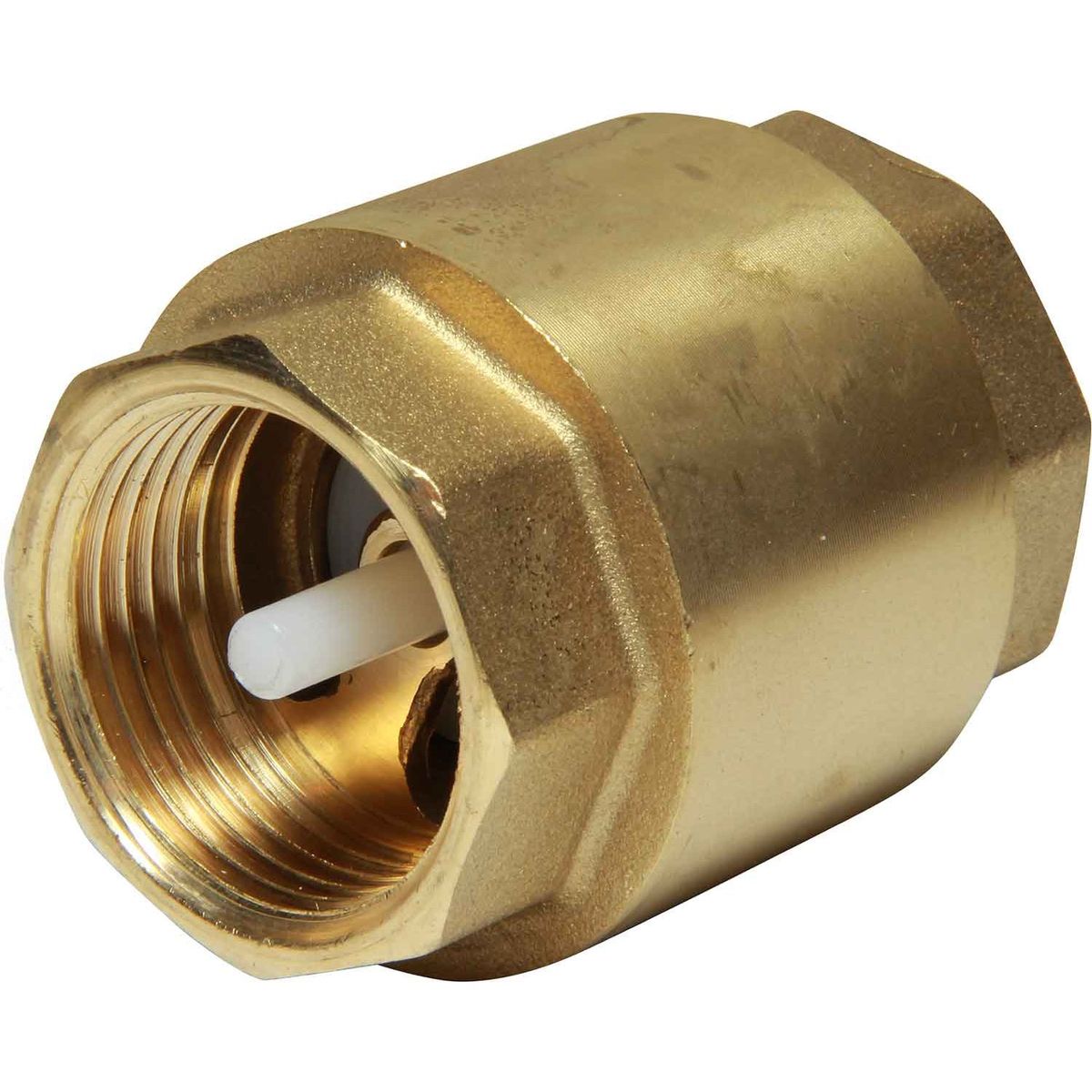 Maestrini Brass Inline Spring Check Valve (Female / 1" BSP) 406605