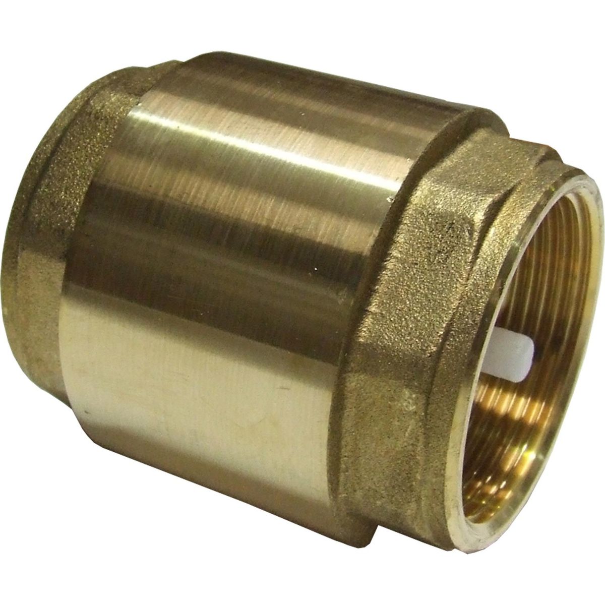 Maestrini Brass Inline Spring Check Valve (Female / 1-1/2" BSP) 406607