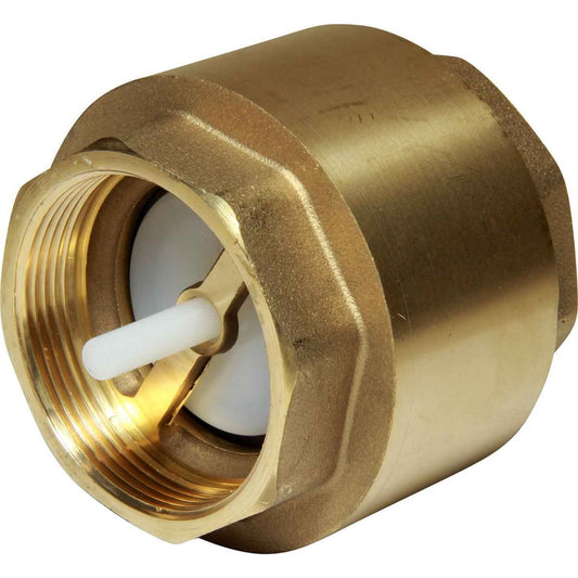 Maestrini Brass Inline Spring Check Valve (Female / 2" BSP) 406608