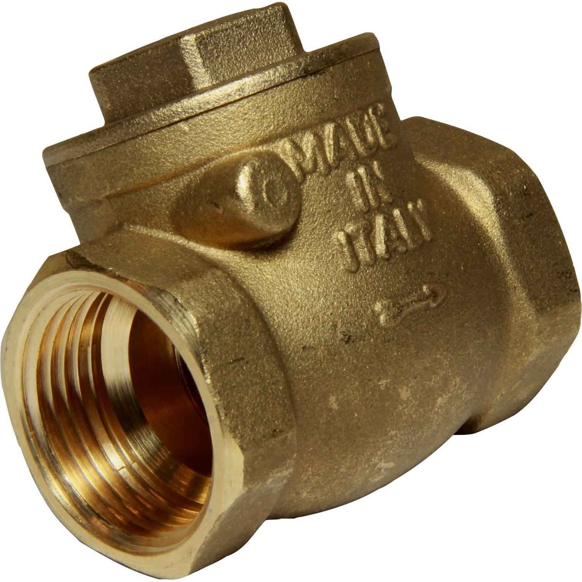 Maestrini Brass Inline Swing Check Valve (Female / 1" BSP) 406705