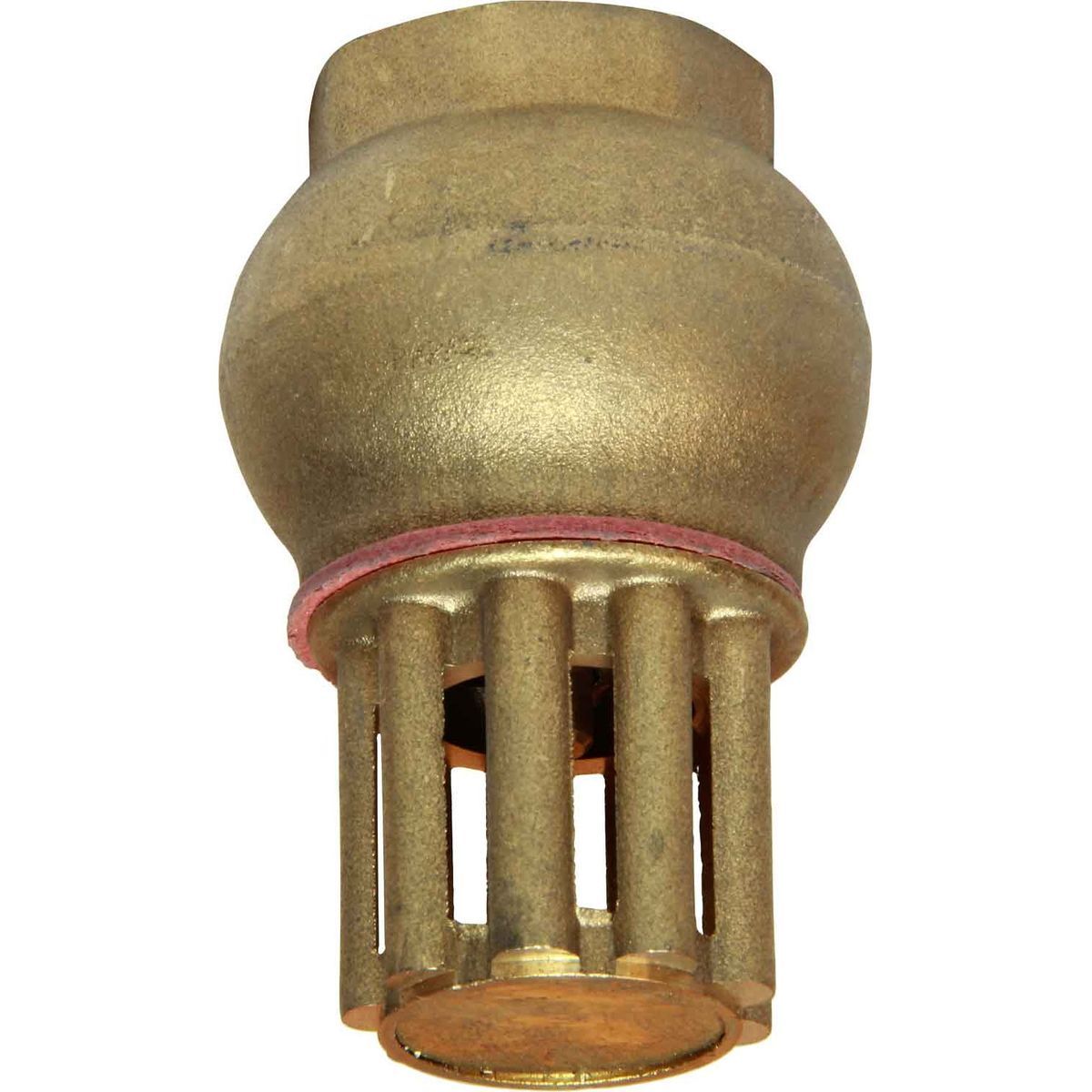 Maestrini Brass Foot Valve (Female / 1/2" BSP) 406803