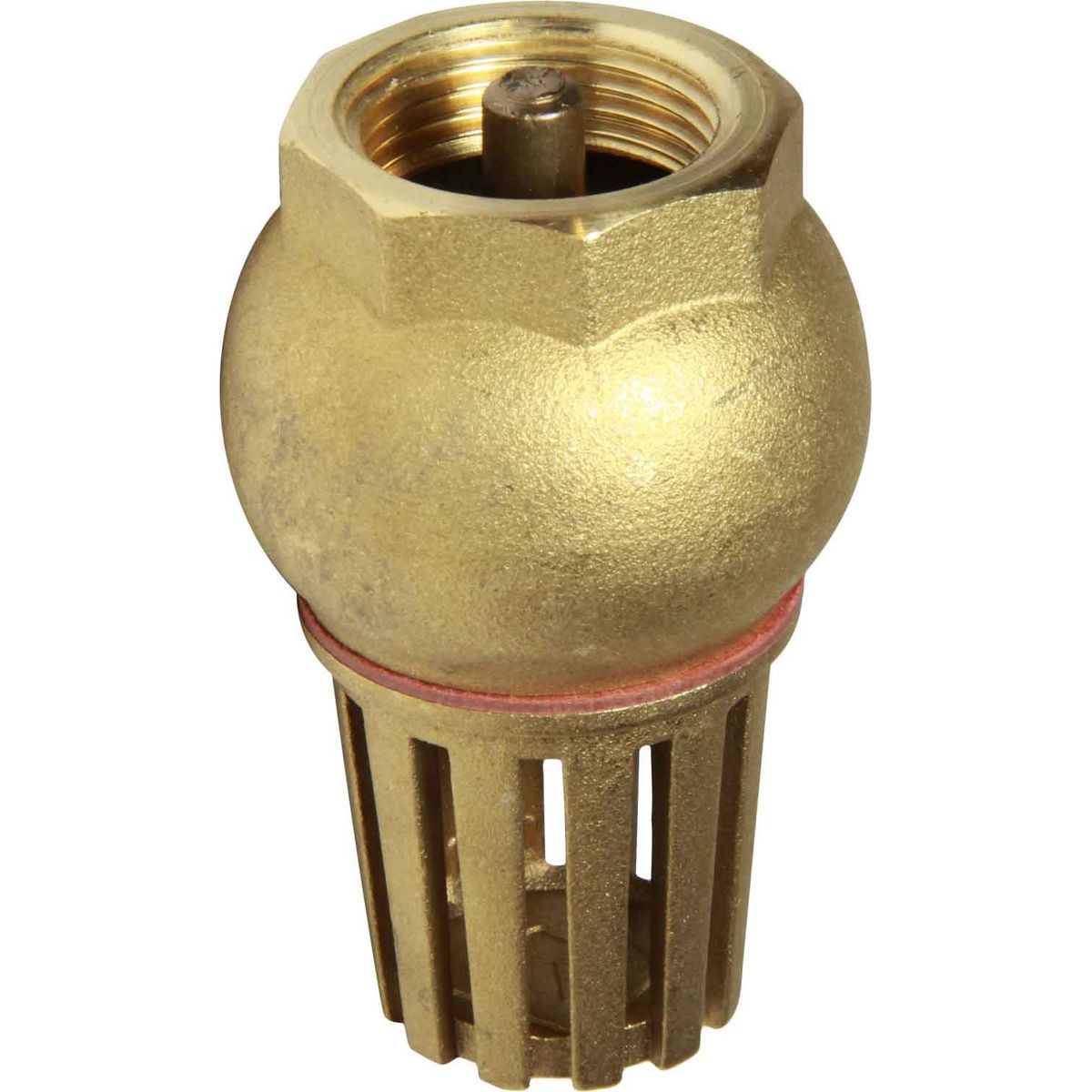 Maestrini Brass Foot Valve (Female / 3/4" BSP) 406804
