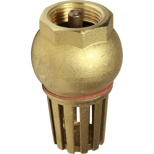 Maestrini Brass Foot Valve (Female / 3/4" BSP) 406804
