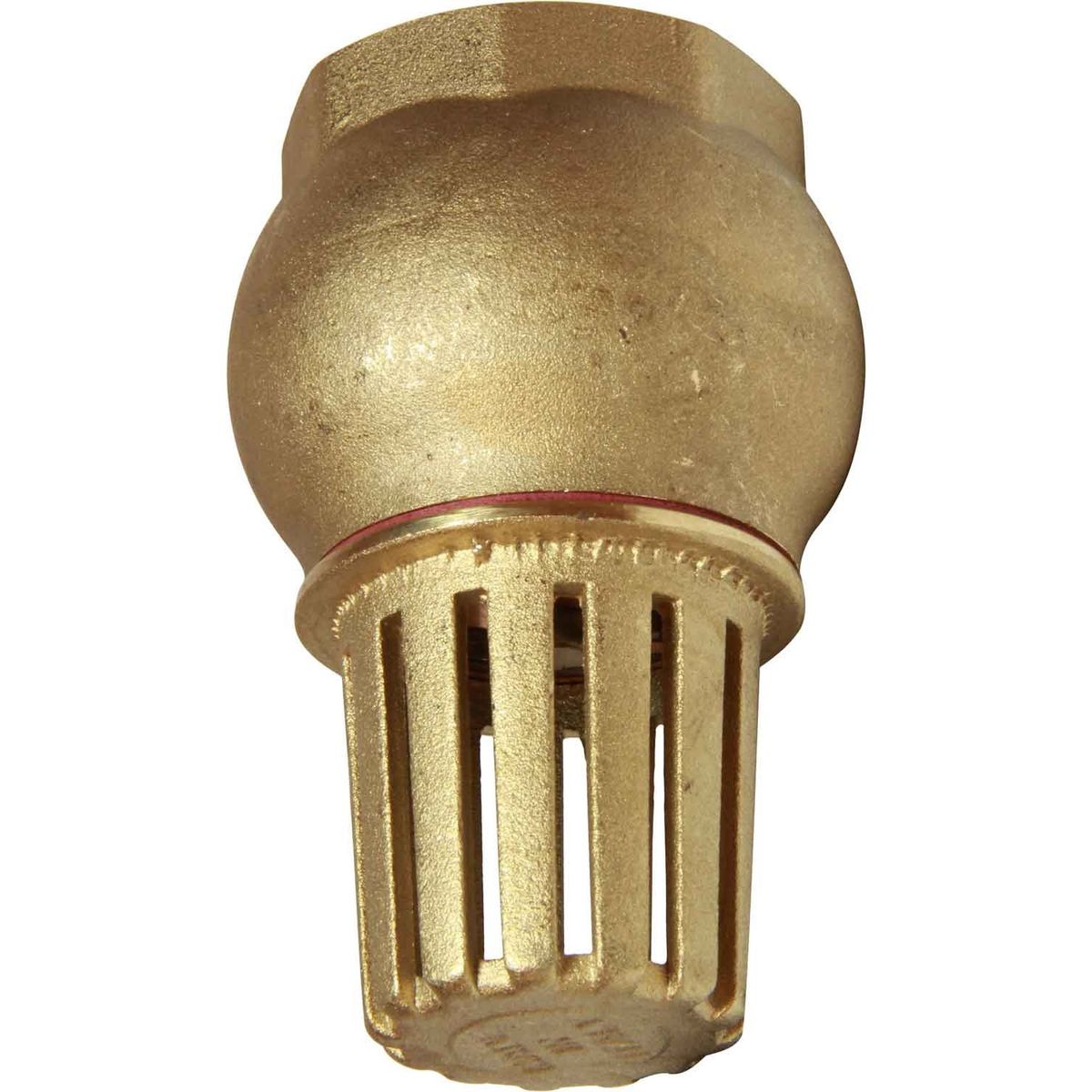Maestrini Brass Foot Valve (Female / 1-1/4" BSP) 406806