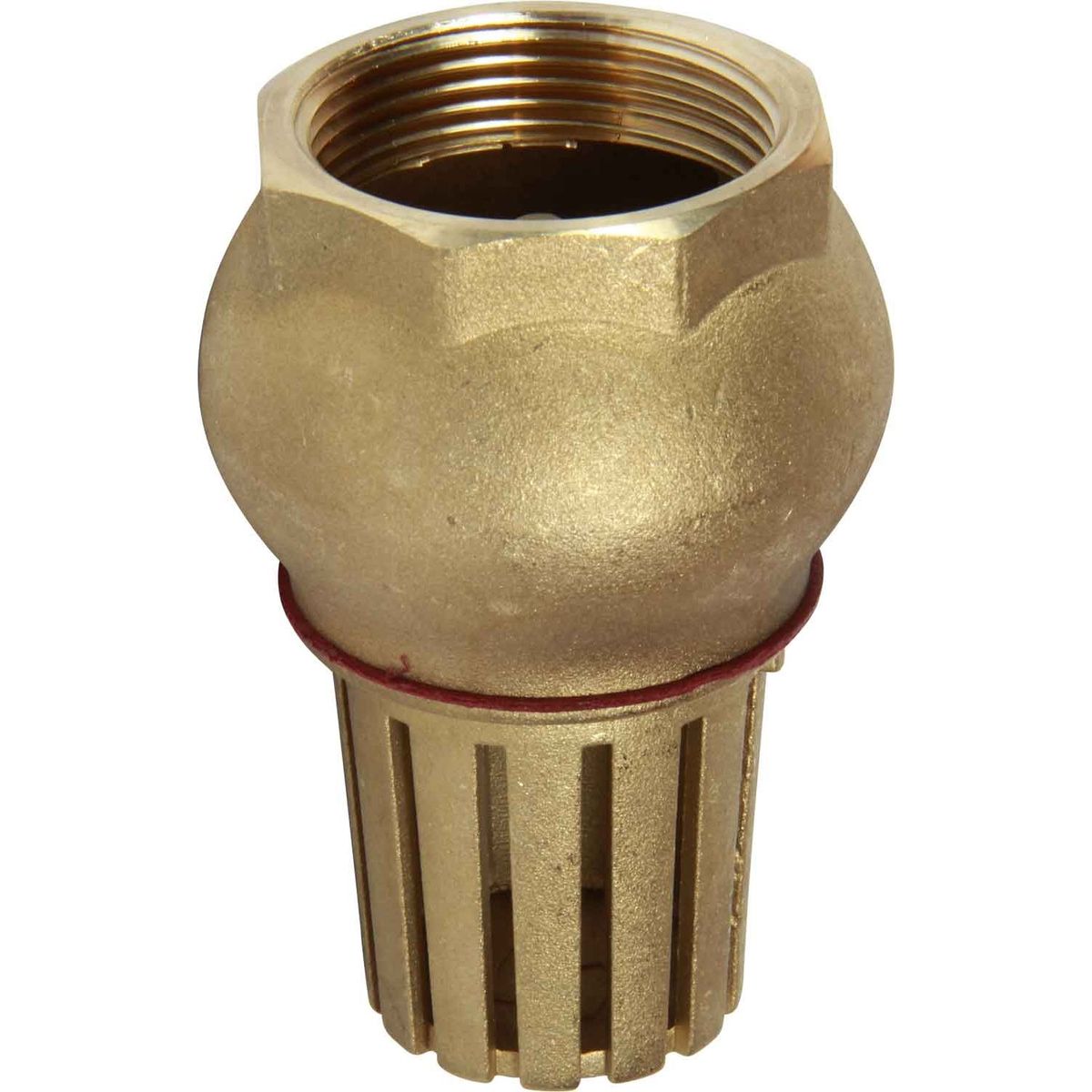 Maestrini Brass Foot Valve (Female / 1-1/2" BSP) 406807