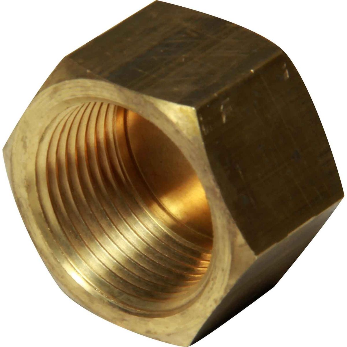 Maestrini Brass Blanking Cap (3/4" BSP Female) 407704