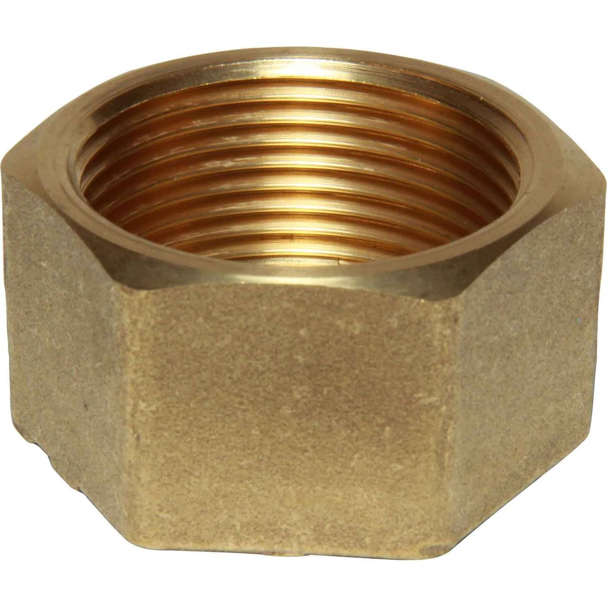 Maestrini Brass Blanking Cap (1-1/4" BSP Female) 407706