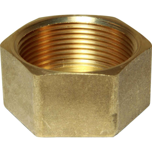 Maestrini Brass Blanking Cap (1-1/2" BSP Female) 407707